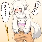  1:1 2019 anthro black_nose blush bodily_fluids canid canine canis clothing diaper domestic_dog fur genital_fluids hi_res japanese_text looking_down male mammal open_mouth pajamas shaking solo speech_bubble standing text translation_request tsuchi_dash undressing urine wet_diaper wetting white_body white_fur 