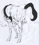  animal_genitalia anus balls butt equine erection feral horse horsecock klaus_doberman male mammal penis puffy_anus solo spirit spirit:_stallion_of_the_cimarron spirit_(cimarron) 