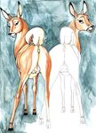  bambi disney faline klaus_doberman tagme 