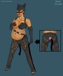  catwoman dc halle_berry omni tagme 