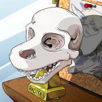  anthro award bone digital_media_(artwork) fish gwyvern male marine raditas shark skull teeth trophy 