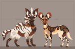  2019 4_toes african_wild_dog canid canine claws digital_media_(artwork) duo feral hyaenid kitchiki mammal standing striped_hyena toes 