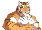  anthro barazoku biceps big_muscles blush chest_tuft felid fur giraffe_(artist) lam-chan male mammal multicolored_body multicolored_fur muscular muscular_male pantherine pecs simple_background solo striped_body striped_fur stripes tiger tuft white_background yellow_eyes 