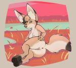  2019 anus big_ears breasts canid canine feet female fennec fox fur fuzzikayu grass hi_res mammal nipples orange_eyes paws pussy simple_background small_(disambiguation) solo spreading 