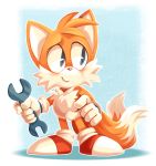  2019 absurd_res anthro blush canid canine clothing footwear fox fur gloves handwear hi_res male mammal miles_prower signature smile solo sonic_(series) splatterparrot tools video_games wrench 