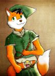  2009 awesome_face canid canine censored fox green_eyes link looking_at_viewer male mammal meme nintendo saintblue solo the_legend_of_zelda video_games 