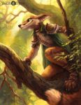  2019 anthro armor biped black_nose canid canine cloak clothed clothing crouching day detailed detailed_background digital_media_(artwork) dipstick_tail footwear forest fox fur gloves handwear kenket male mammal multicolored_tail nature orange_body orange_fur outside pauldron smile solo tree trell white_body white_fur 