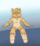 2009 domestic_cat featureless_crotch feet felid feline felis male mammal navel saintblue solo 