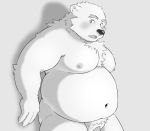  2019 anthro barely_visible_genitalia barely_visible_penis belly blush humanoid_hands itachi_guma male mammal moobs navel nipples overweight overweight_male penis simple_background solo ursid 