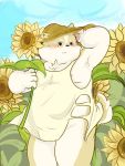  2019 anthro blush canid canine canis clothing domestic_dog flower hat headgear headwear hi_res humanoid_hands male mammal moobs nipples outside plant slightly_chubby solo straw_hat sunflower 熊团沫沫 