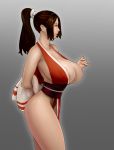  1girl absurdres areola_slip areolae breasts brown_hair fatal_fury from_side gradient gradient_background grey_background highleg highres japanese_clothes large_breasts looking_to_the_side materclaws no_bra parted_lips pelvic_curtain ponytail shiranui_mai smile solo standing the_king_of_fighters 