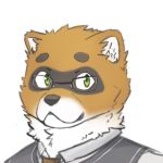  canid canine canis canis_lupus_familiaris chow_chow domestic_dog eyewear frederick_talbain glasses hybrid male mammal procyon_lotor procyonid procyonidae raccoon spitz 