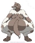  amad_no_moto anthro badgengar big_butt butt canid canine crouching female hi_res huge_butt mammal nude 