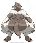 amad_no_moto anthro badgengar big_breasts big_butt breasts butt canid canine crouching female hi_res huge_breasts huge_butt mammal nude 