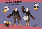 accipitrid accipitriform avian bald_eagle bird eagle freckles_(artist) hi_res male model_sheet sea_eagle solo war-bird 