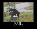  inanimate moose statue tagme wildlife 