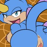  2011 anus blue_eyes breasts butt fan_character female looking_at_viewer looking_back open_mouth presenting presenting_hindquarters pussy saltcore solo sonic_the_hedgehog_(series) thick_thighs 