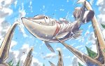  arrokuda black_eyes closed_mouth cloud commentary_request cramorant day fang fish mukiguri no_humans outdoors pokemon pokemon_(creature) sky smile water_drop 