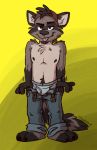  2019 anthro bottomwear bulge clothing fur grey_body grey_fur hat headgear headwear hi_res humanoid_hands male mammal pants procyonid raccoon solo tinydeerguy tongue tongue_out underwear undressing 