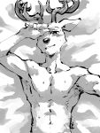  2019 anthro antlers athletic athletic_male beastars bodily_fluids cervid cervine fur hi_res horn louis_(beastars) lying male mammal red_deer shirako solo sweat unseen_character 