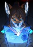  2019 anthro blue_eyes brown_hair canid canine clothed clothing digital_media_(artwork) female fox hair hi_res mammal omesore solo 