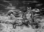  2019 absurd_res anthro avian beach bird canid canine clothed clothing duo eye_contact falcon falconid fox graphite_(artwork) grin happy hi_res humanoid leaning leaning_forward looking_at_another lying male mammal monochrome nintendo nude on_back outside partially_clothed pencil_(artwork) realistic sean_hart seaside shaded smile star_fox topless traditional_media_(artwork) video_games 