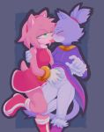  amy_rose blaze_the_cat blush clothing domestic_cat eulipotyphlan felid feline felis female female/female green_eyes hedgehog kissing mammal otsu simple_background sonic_the_hedgehog sonic_the_hedgehog_(series) tongue 