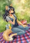  2019 anthro black_hair black_nose canid canine clothed clothing day detailed_background eyebrows eyelashes female fox grass hair heterochromia hi_res kneeling mammal nekoart open_mouth outside scar solo teeth tongue whiskers 