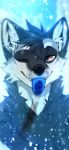  2019 angiewolf anthro black_body black_fur blue_tongue brown_eyes digital_media_(artwork) fur male mammal procyonid raccoon smile solo tongue 