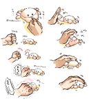  ._. animal animal_focus clenched_hand commentary_request crab disembodied_limb fluffy nabenko petting punching rock_paper_scissors sequential simple_background smile white_background 