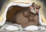  5_fingers anthro bed belly brown_body brown_fur eyebrows eyes_closed facial_hair fingers fur furniture grin kemonahi kemono lying male mammal moobs mustache nipples on_side overweight overweight_male penis pillow pink_nipples smile solo ursid 