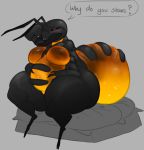  ant anthro arthropod belly big_breasts blush breasts dongwongtang embarrassed female honey honeypot_ant hymenopteran insect inverted_nipples nipples nude overweight simple_background text thick_thighs wide_hips 