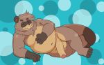  2019 absurd_res andythetanuki anthro balls belly brown_body brown_fur canid canine erection fur hi_res male mammal nude overweight overweight_male penis raccoon_dog simple_background solo tanuki 