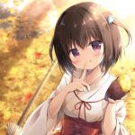  1girl :q autumn_leaves bangs blue_ribbon blurry blurry_background blush bow breasts broom brown_hair closed_mouth commentary_request day depth_of_field eyebrows_visible_through_hair food hair_between_eyes hair_ribbon hakama hands_up head_tilt holding holding_food japanese_clothes kimono leaf maple_leaf medium_breasts miko miyasaka_nako original outdoors red_bow red_eyes red_hakama ribbon short_hair smile solo sweet_potato tongue tongue_out two_side_up upper_body white_kimono wide_sleeves yakiimo 