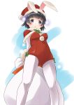  1girl absurdres animal_ears arare_(kantai_collection) black_hair brown_eyes bunny_ears bunny_tail bunnysuit capelet commentary_request elbow_gloves feet_out_of_frame from_below gloves hat highres kantai_collection leotard looking_at_viewer pantyhose red_leotard sack santa_hat short_hair solo standing strapless strapless_leotard tail taisinkoku two-tone_background white_background white_gloves white_legwear 