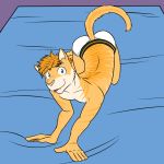  1:1 anthro ass_up bed clothed clothing domestic_cat felid feline felis furgonomics furniture fuze hi_res kneeling male mammal on_bed seductive solo tongue tongue_out topless underwear underwear_only 