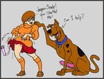  scooby scooby-doo tagme velma_dinkley 