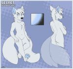  2014 4_toes blue_eyes canid canine featureless_crotch fox looking_at_viewer male mammal model_sheet multi_tail muzz navel secretkitsune_(character) solo toes 