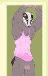  9x9 anthro badger balls bottomless bulge clothed clothing hi_res looking_at_viewer male mammal mustelid musteline pose shirt solo tank_top topwear 