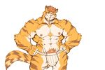  2019 5_fingers anthro big_muscles bulge chest_tuft clothed clothing domestic_cat felid feline felis fingers fur hair hands_on_hips hi_res huge_muscles jockstrap male mammal monochrome_kg muscular muscular_male nipples one_eye_closed orange_body orange_fur orange_hair pink_nipples pubes simple_background solo standing striped_body striped_fur stripes topless tuft underwear white_background white_body white_fur wink 
