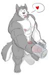  &lt;3 4_fingers abs absurd_res anthro balls biceps big_penis black_eyes black_nose blep bodily_fluids canid canine canis citrusification claws cum digital_drawing_(artwork) digital_media_(artwork) erection fingers fur genital_fluids grey_body grey_fur hand_on_penis hi_res humanoid_penis looking_at_viewer male mammal masturbation multicolored_body multicolored_fur muscular muscular_arms muscular_male nipples nude orgasm penetrable_sex_toy penetration penis sex_toy simple_background solo speech_bubble standing thick_neck thick_penis toe_claws tongue tongue_out two_tone_body two_tone_fur vein veiny_penis white_background white_body white_fur wide_eyed wolf 