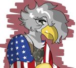  2019 accipitrid accipitriform anthro avian bald_eagle bird clothing digital_media_(artwork) eagle female flag sea_eagle solo stars_and_stripes united_states_of_america 