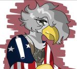  2019 accipitrid accipitriform anthro avian bald_eagle bird clothing digital_media_(artwork) eagle female flag sea_eagle solo 