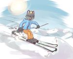  2017 male mammal mountain pinky procyonid raccoon secretkitsune skiing snow solo sun 