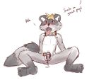  2017 4:3 4_toes anus balls blush bodily_fluids chastity_cage chastity_device collar cum cute_fangs dialogue genital_fluids lock male mammal penis pinky procyonid raccoon secretkitsune simple_background solo toes tongue tongue_out white_background 