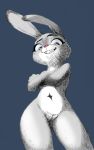  anthro buckteeth disney female fur grey_background grey_body grey_fur grin judy_hopps lagomorph leporid looking_at_viewer looking_down low-angle_view mammal navel nude pink_nose pussy rabbit simple_background smile solo teeth zootopia 