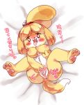  &lt;3 &lt;3_eyes 3_toes animal_crossing anus bedding black_nose blush bodily_fluids breast_grab breasts canid canine canis countershading dipstick_tail domestic_dog dripping female fluffy fluffy_tail fur genital_fluids hand_on_breast hi_res isabelle_(animal_crossing) japanese_text looking_at_viewer mammal masturbation multicolored_tail nintendo nipples open_mouth pussy pussy_juice saliva snout solo text toes tongue tongue_out toy_dog translation_request vaginal vaginal_masturbation video_games white_countershading yellow_body yellow_fur フシアナ・アイ 