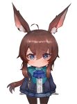  +_+ 1girl ahoge amiya_(arknights) animal_ear_fluff animal_ears arknights ascot bangs blue_eyes blue_jacket blue_neckwear blue_skirt blush brown_hair brown_legwear bunny_ears chibi closed_mouth commentary_request dokomon eyebrows_visible_through_hair hair_between_eyes highres jacket korean_commentary long_hair long_sleeves looking_at_viewer open_clothes open_jacket pantyhose pleated_skirt ponytail shirt sidelocks simple_background skirt solo very_long_hair white_background white_shirt 