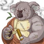 1:1 anthro belly clothed clothing facial_scar fur grey_body grey_fur holding_object holding_sword holding_weapon koala leaf male mammal marsupial melee_weapon musclegut muscular muscular_male nipples overweight overweight_male raichoclub scar solo sword vombatiform weapon 