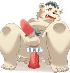  2015 anal anal_penetration balls censored dildo male nikubo open_mouth overweight penetration penis pubes sex_toy simple_background slightly_chubby solo white_background 